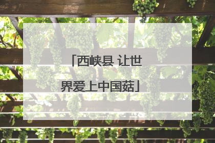 西峡县 让世界爱上中国菇